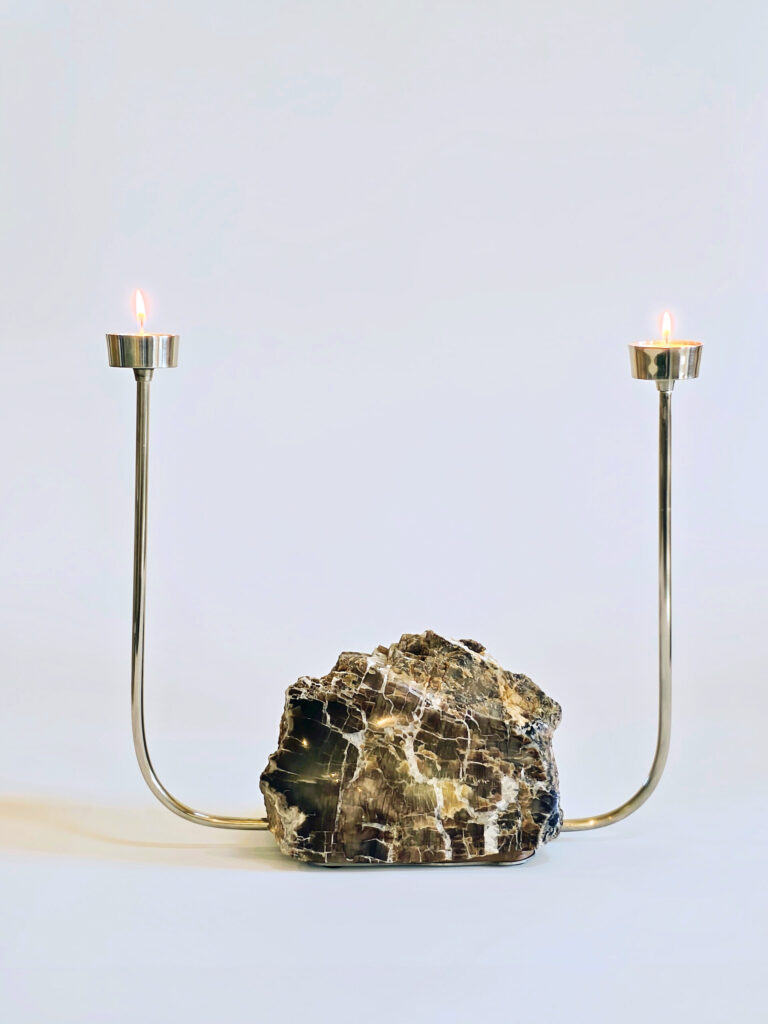 Shadow Quartz — petrified wood art object by Petravo