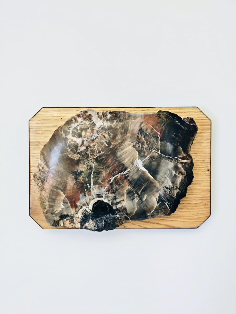 Vein Of Eternity — petrified wood art object by Petravo