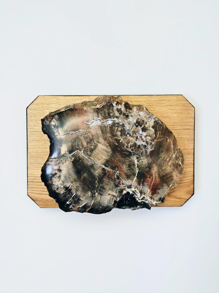 Obsidian Stratum — petrified wood art object by Petravo