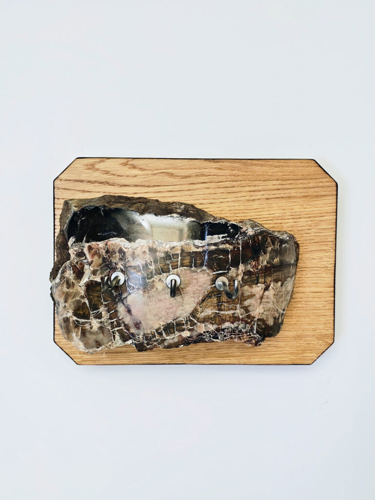 Primal Vessel — petrified wood art object by Petravo