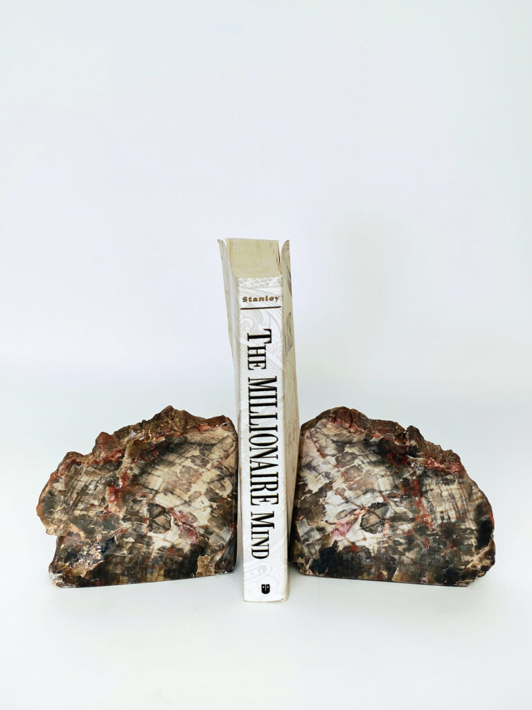 Imperial Bookends — petrified wood art object by Petravo