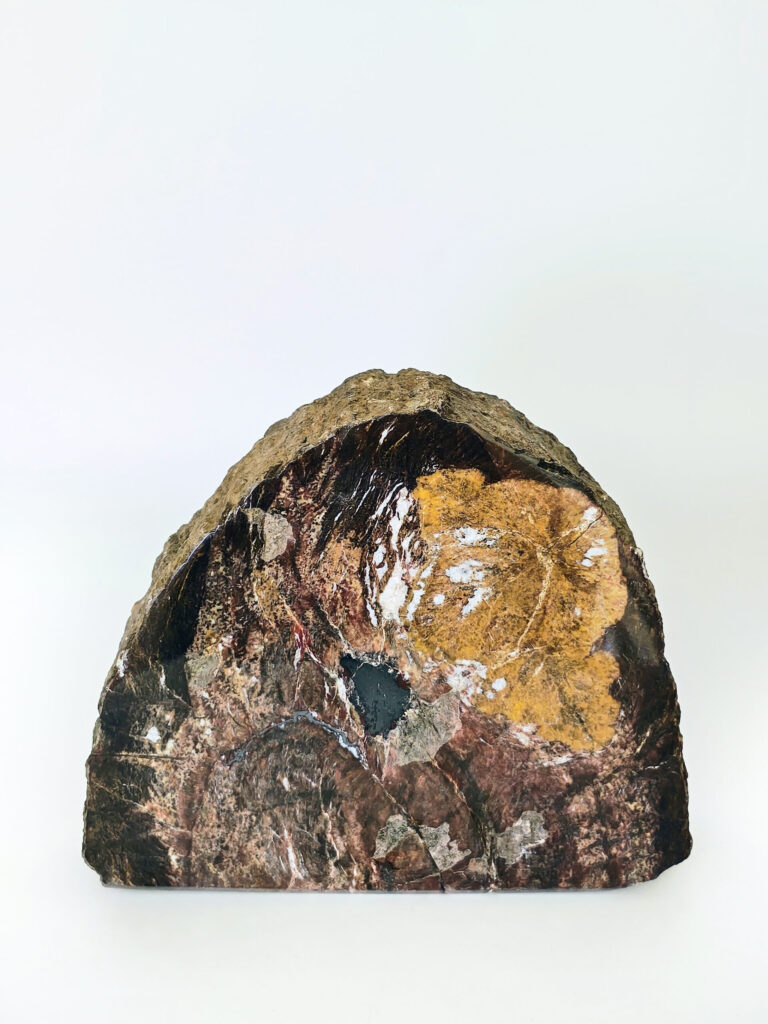 Ancient Orbit Stone — petrified wood art object by Petravo