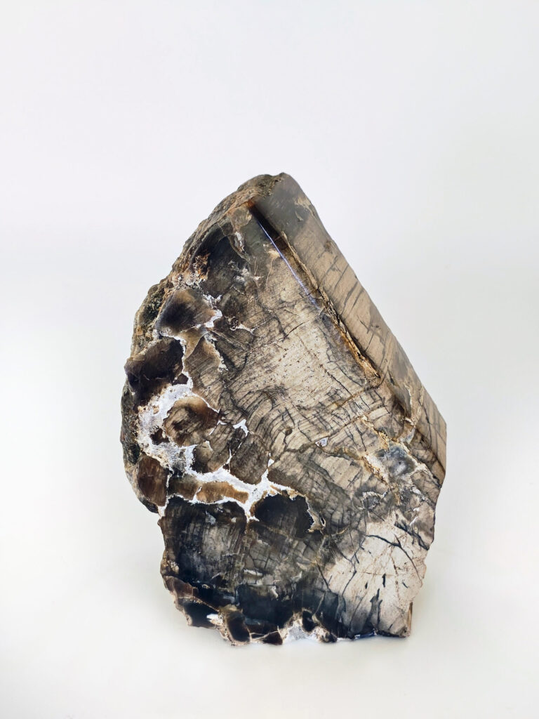 Eclipse Ridge Stone — petrified wood art object by Petravo