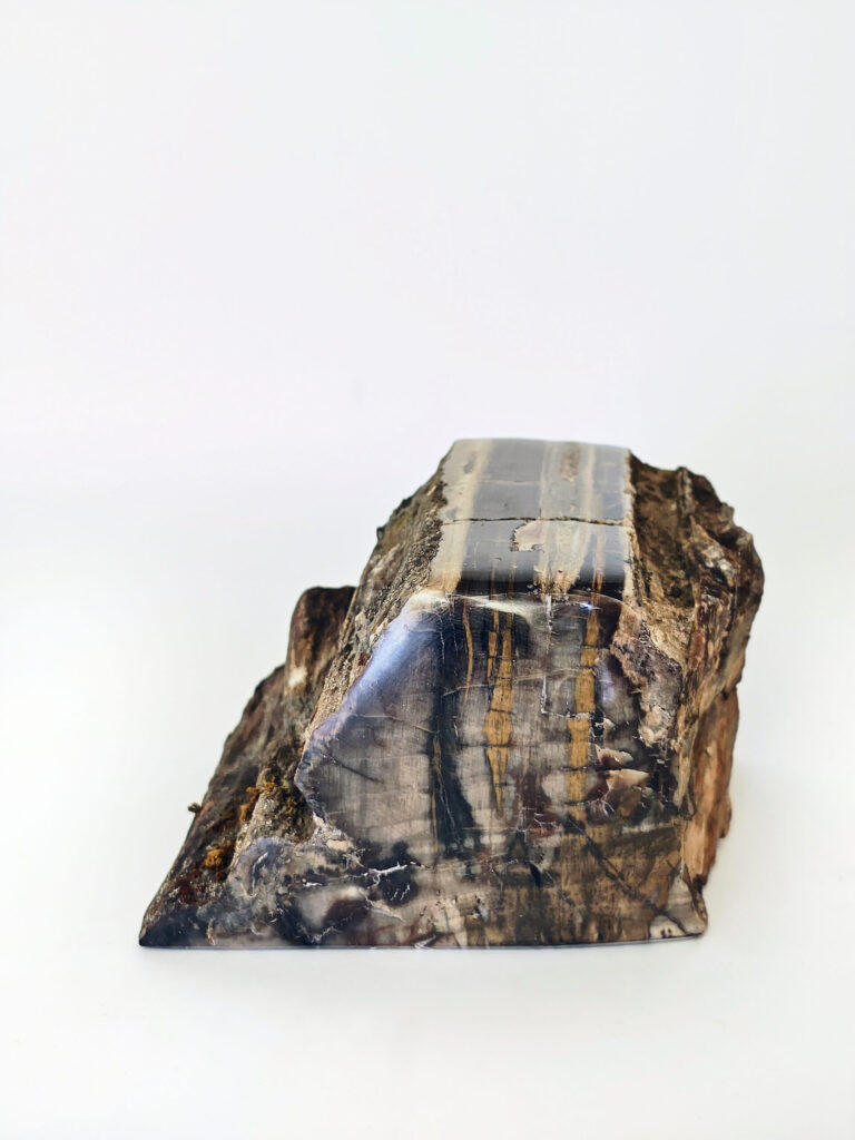 Cathedral Fossil Peak — petrified wood art object by Petravo