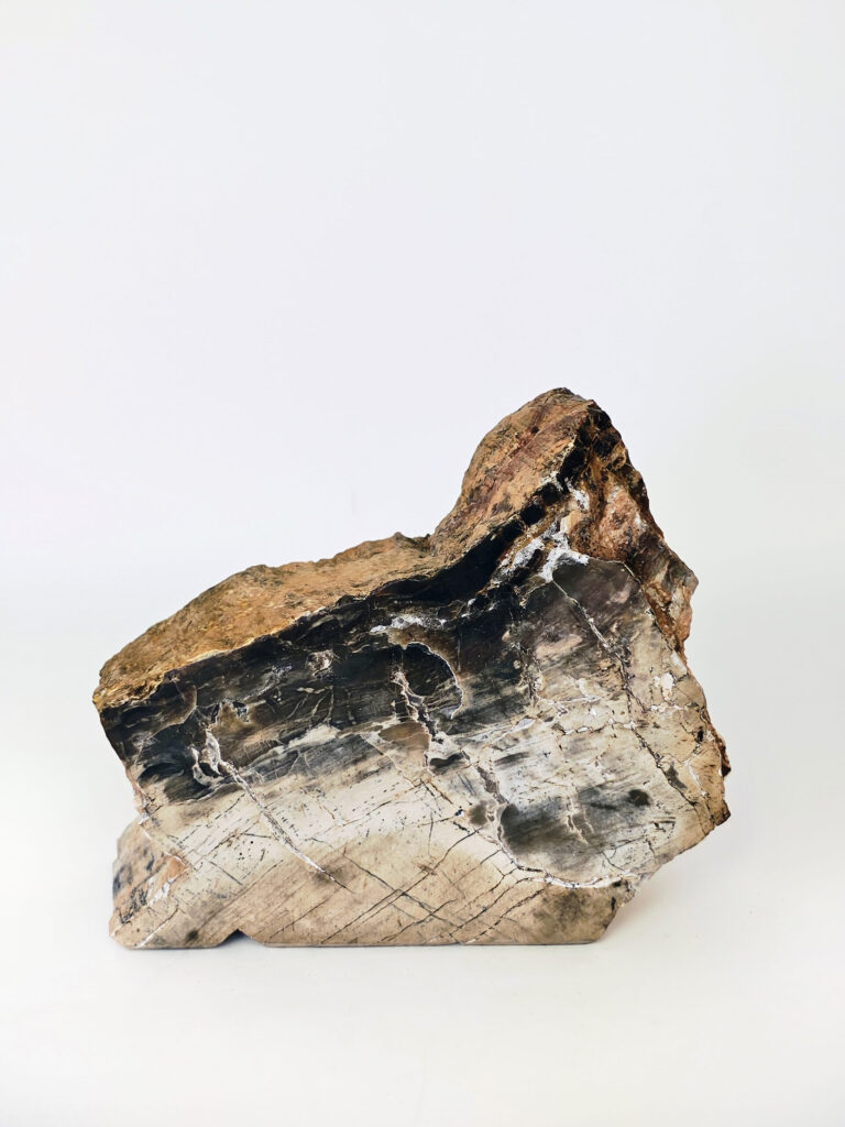 Velvet Obsidian Core — petrified wood art object by Petravo