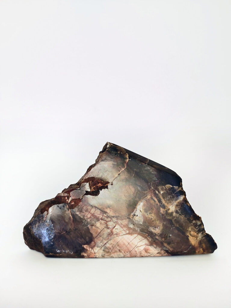 Molten Earth Fragment — petrified wood art object by Petravo